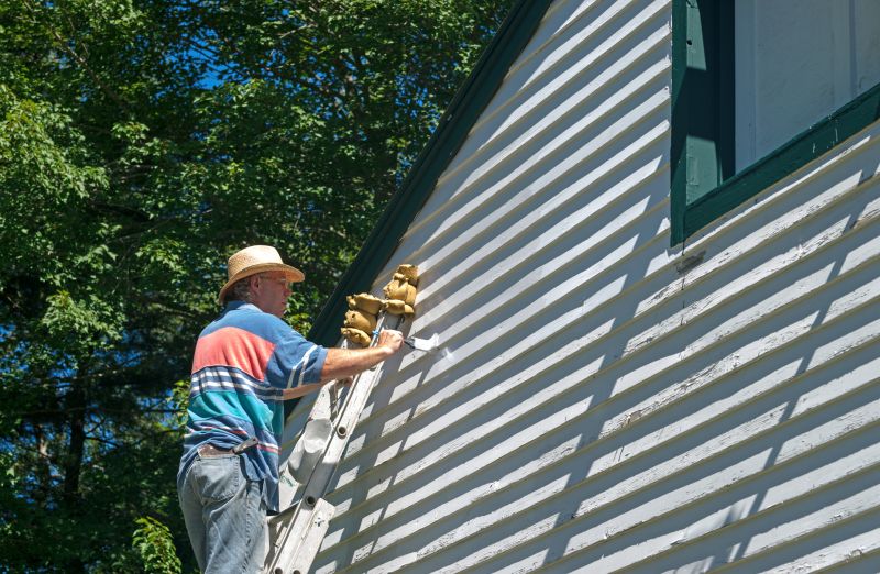House Siding Painting in Longmont, CO